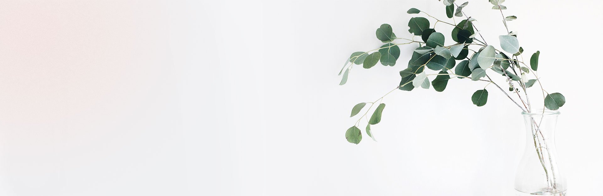 contact_banner