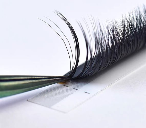 Easy Fan Lashes C Curl