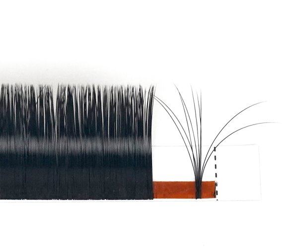 Easy Fan Lashes D Curl